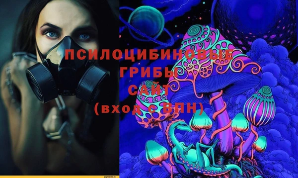 хмурый Белокуриха