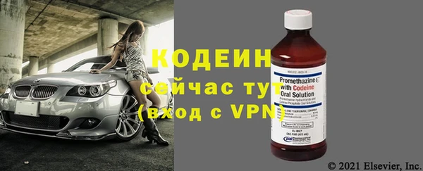 хмурый Белокуриха