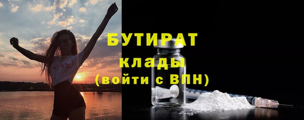 хмурый Белокуриха