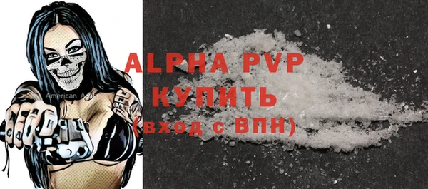 хмурый Белокуриха