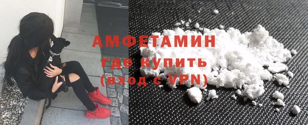 хмурый Белокуриха