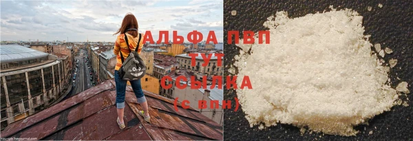 хмурый Белокуриха