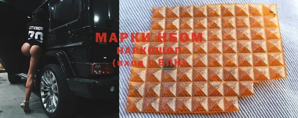 хмурый Белокуриха
