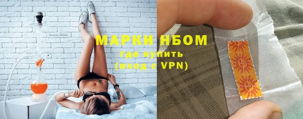 хмурый Белокуриха