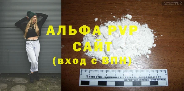 хмурый Белокуриха